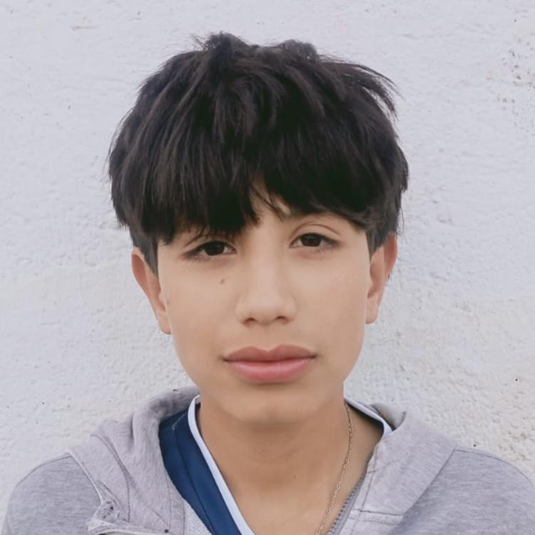User Image