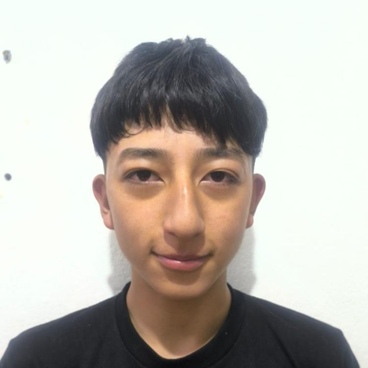 User Image