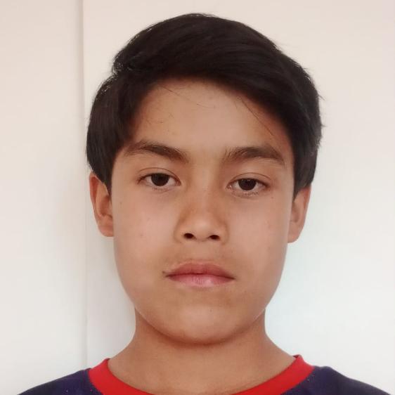User Image
